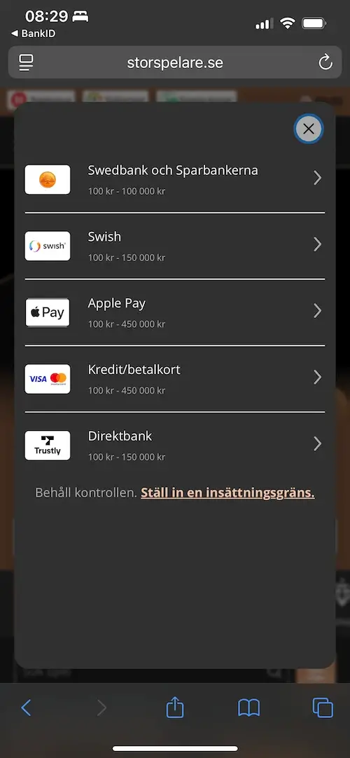 Storspelare Casino betalningsmetoder