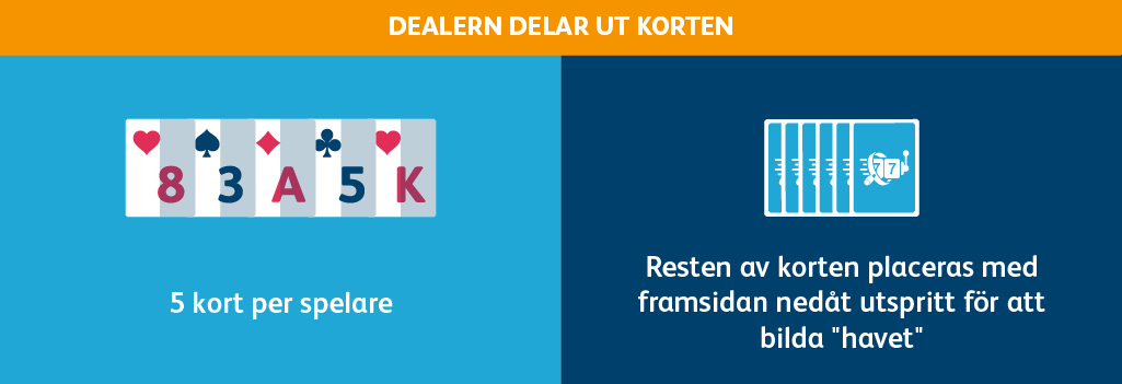 Kortlek guide kortspel finns i sjon