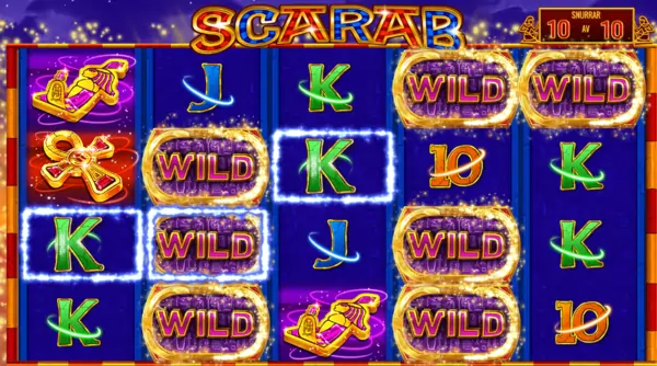 Wild stays charges igt