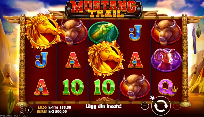 Mustang Trail scatter