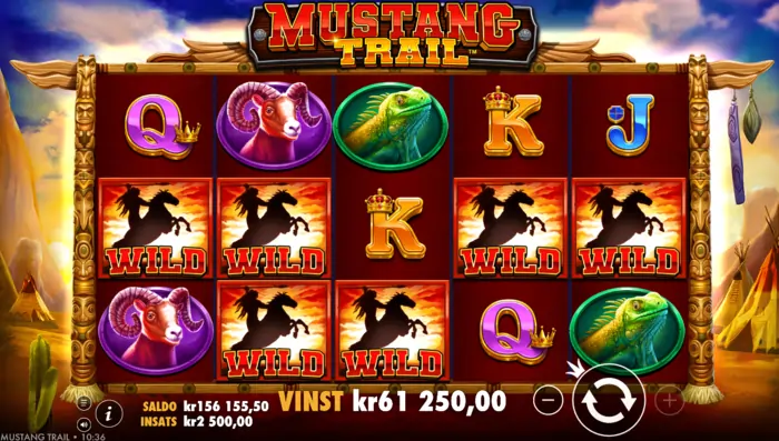 Mustang Trail - wild