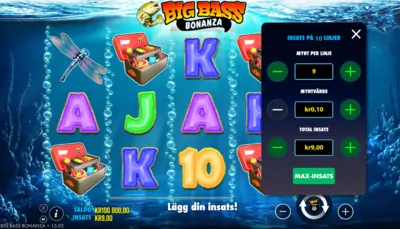 Big bass bonanza installning