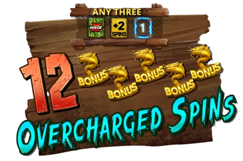 Overcharged spins