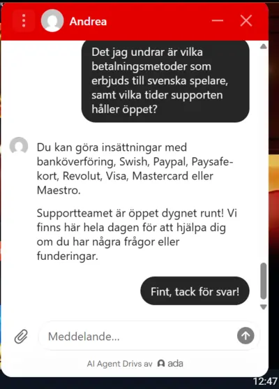 Chat test mega fortune