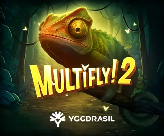 Multifly 2