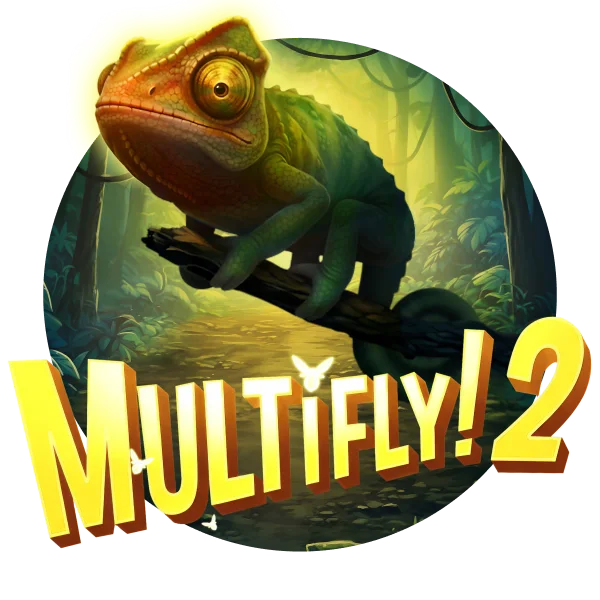 MultiFly 2