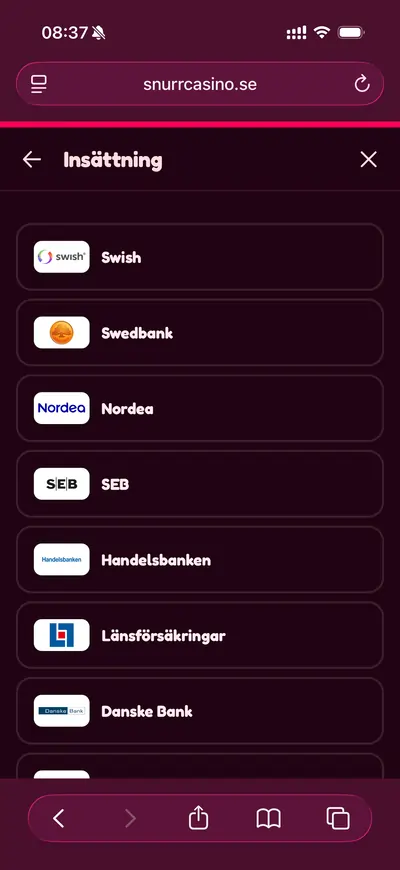snurr casino betalningsmetoder