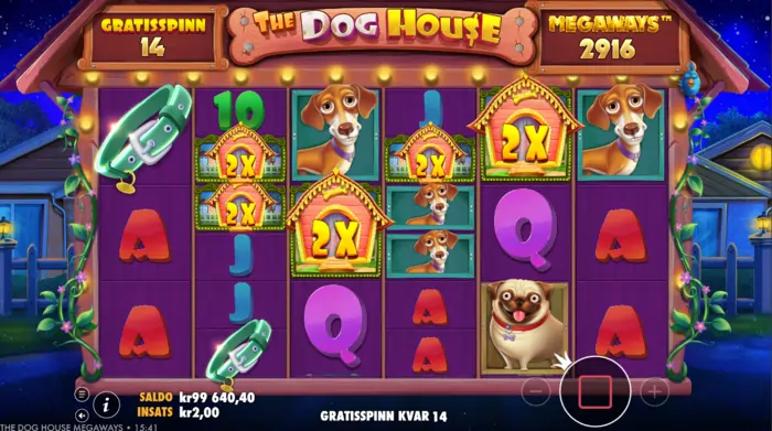 Raining spins the dog house
