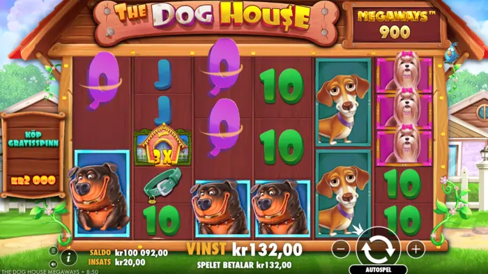 The Dog house megaways