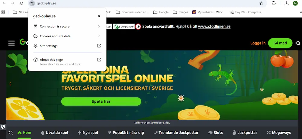 Säker anslutning SSL Geckoplay