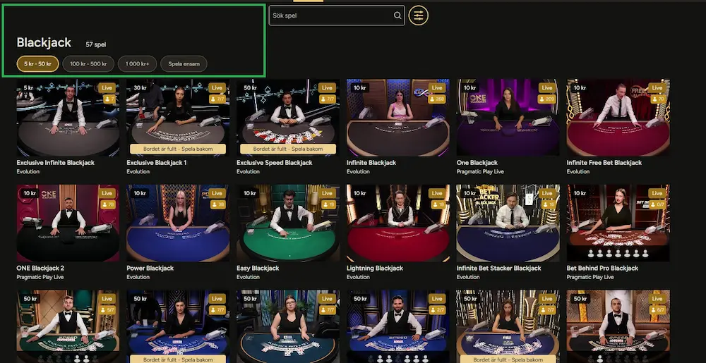 Test storspelare filter insats blackjack
